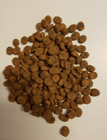 Preview: ARION Original Adult All Breeds Salmon&Potato 12kg